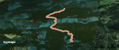 Abstecher Loifarn-Lindlreitalm