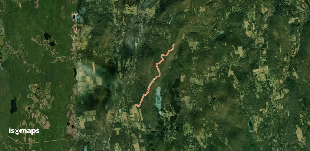 White Trail