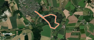 A3 Wettener Busch
