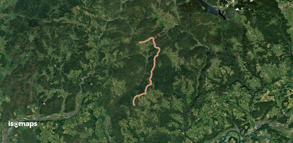 blaue Raute Hornberg - Langewald