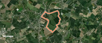 Landschapswandeling Wijerbos Blauwe ruit