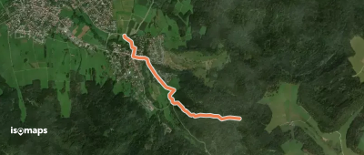 blaues Dreieck Thanheim - Heiligenkopf