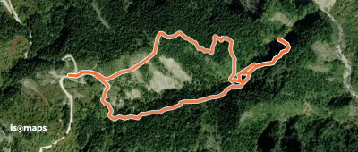 Rema Marks Trail