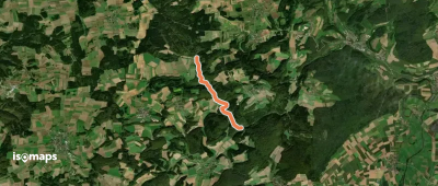 rote Raute Waldstetter Tal
