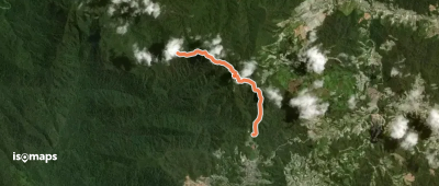 Mossy Forest (Brinchang - Gunung Irau)