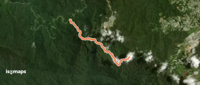 Trail