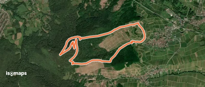 Birkweiler Rundwanderweg Hohenberg