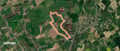 Paddepoel Groene ruit