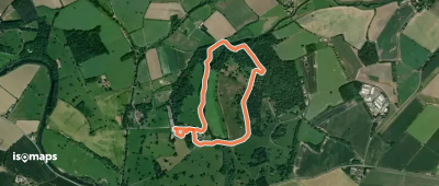 Autumn Light Walk, Attingham Park