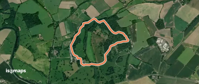 Woodland Walk, Attingham Park