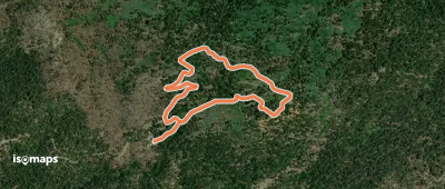 Grizzly Giant Loop Trail