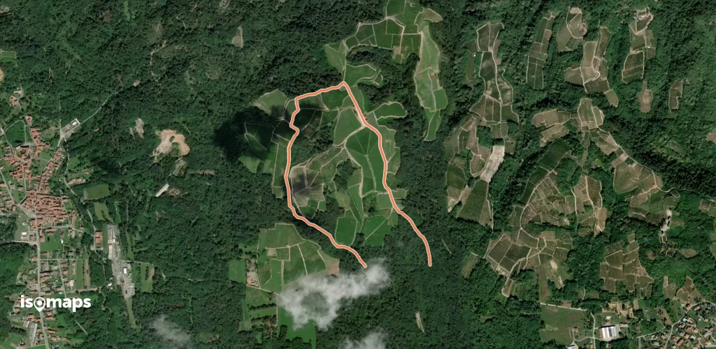 OSM Route 17887135