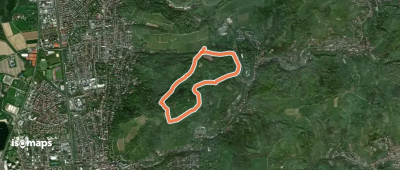 Rundwanderweg Bensheim Herrenwingert 6: Eichelberg-Weg