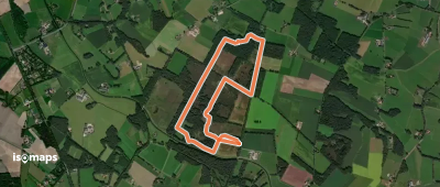 Needse Achterveld route
