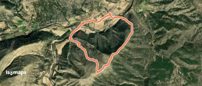 Carrasca de Guaita