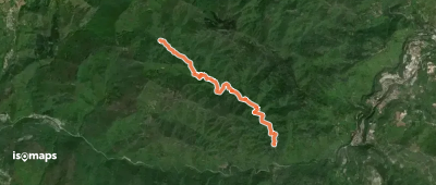 OSM Route 17462742
