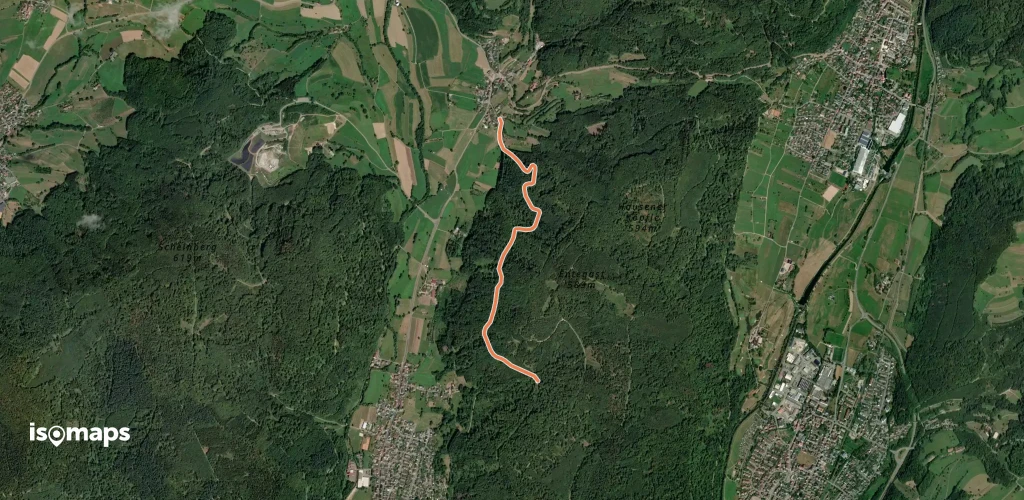 Lachsgrabenweg - Dachsgrabenbrünnli