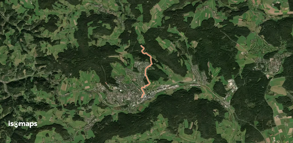 Kundo - Hutneck Wald