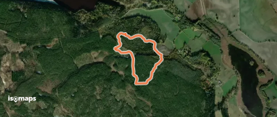 Vigors kyrko