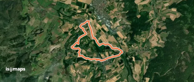 Niederellenbach Rundweg N2