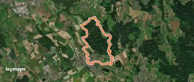 Premiumwanderweg Bermatinger Waldwiesen