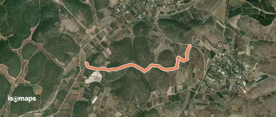 OSM Route 17495514