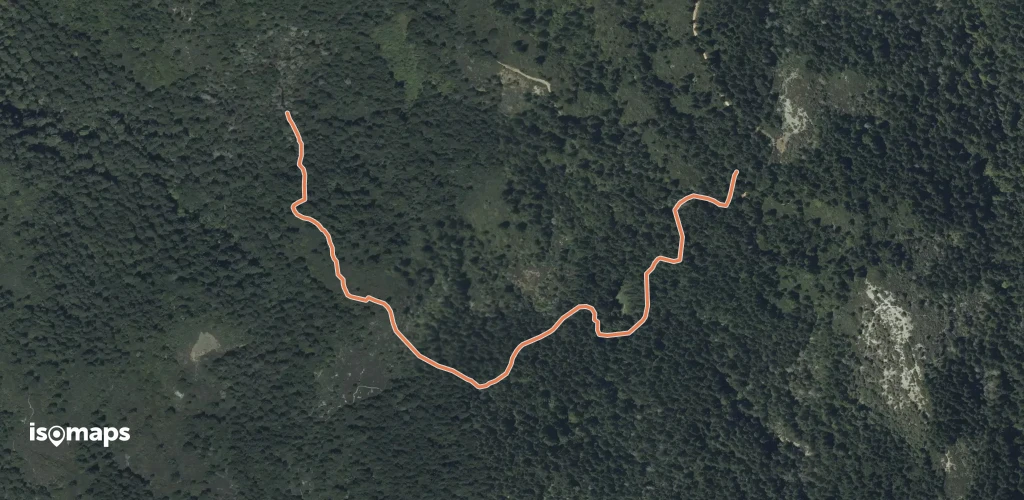 CC Boys Trail