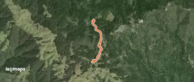 Benstein Trail
