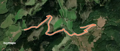 Reutegrund - Oberhalb Limbacherhof