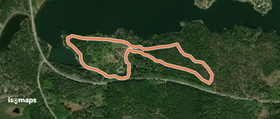 Ryggis elljusspår