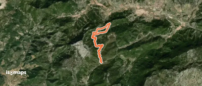 Ruta Micológica Riópar - El Arenal