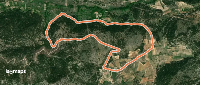 Ruta Micológica Cañada Morote a Las Hoyas