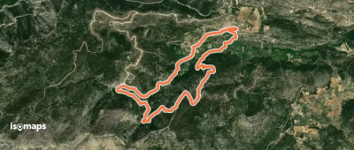 Ruta Micológica El Pardal