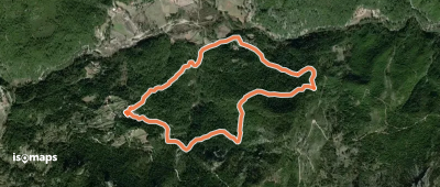 Ruta Micológica Arroyo del Gavilán
