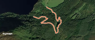 Muckross Lake Walk