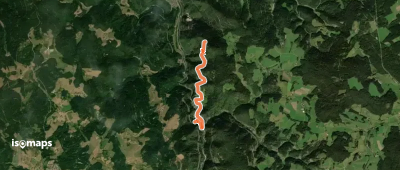 Schloßfelsen - Steinbis