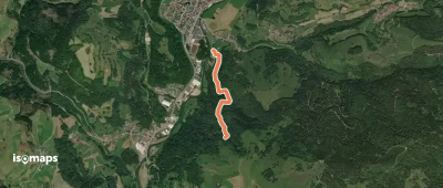 Flühweg Abzw. Urwaldpfad - Unterhalb Holzer Kreuz