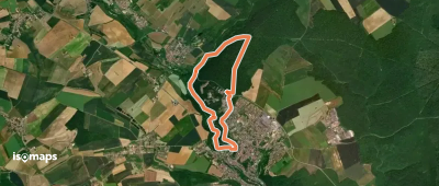 Bois de Napatan
