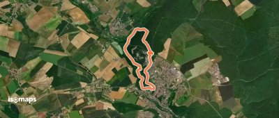 Bois des Moines
