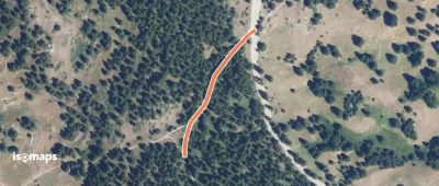 Bois de l'Eyssard - Le Clot l'Henry