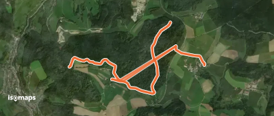 gelbe Raute Burgtal
