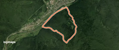 СТАРОВІКОВІ ЛІСИ