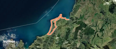 Mākara Walkway