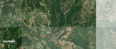 Forest de Constant - ?