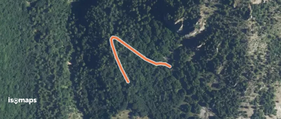 Aiguilles de Marianne - Forest de Constant