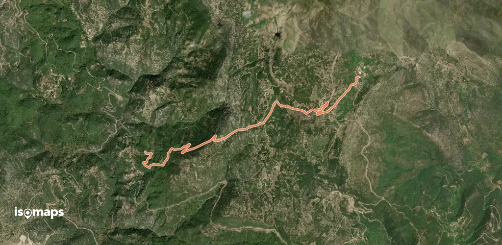 Trail of Pan I