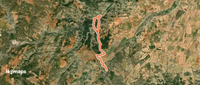 La Tala