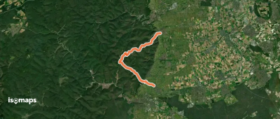 Pfälzerwald Rotes Dreieck