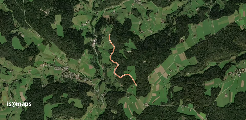 Kaltenbronn - Kohlwald