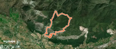 Lezeko itzulia